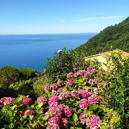 Ninin De Ma' * Framura