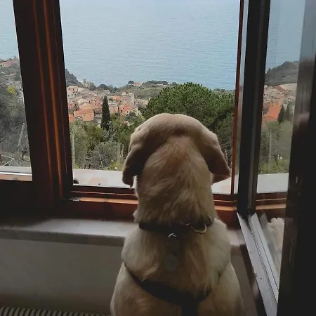 Vandrerhjem Ninin De Ma' *