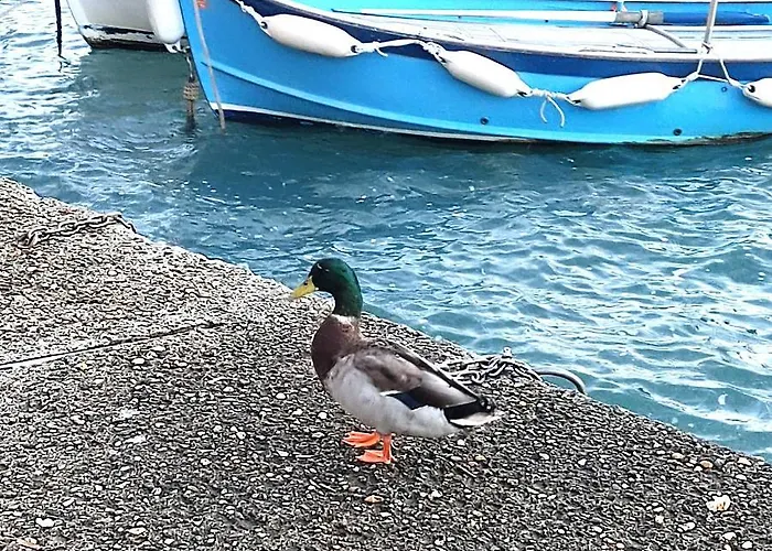 Ninin De Ma' Framura