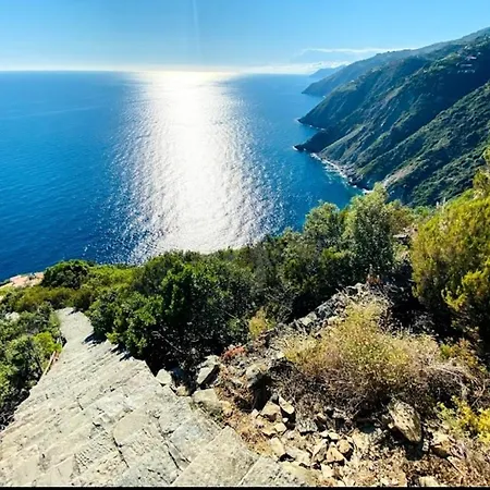 Ninin De Ma' فرامورا