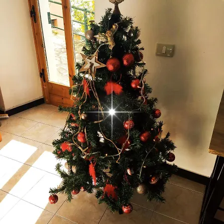 بيت شباب Ninin De Ma' *