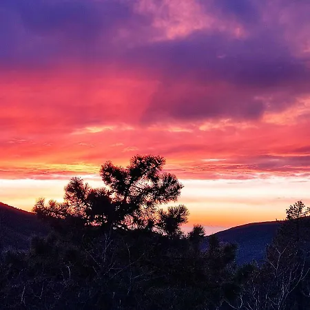 Ninin De Ma' فرامورا