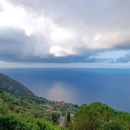 Ninin De Ma' * Framura