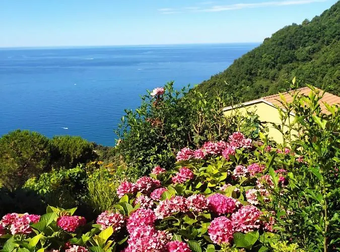 Ninin De Ma' * Framura