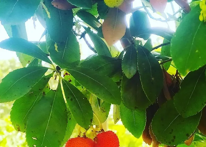 Ninin De Ma' Hostel *