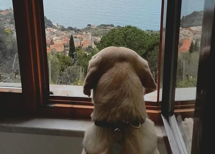 Hostel Ninin De Ma' *