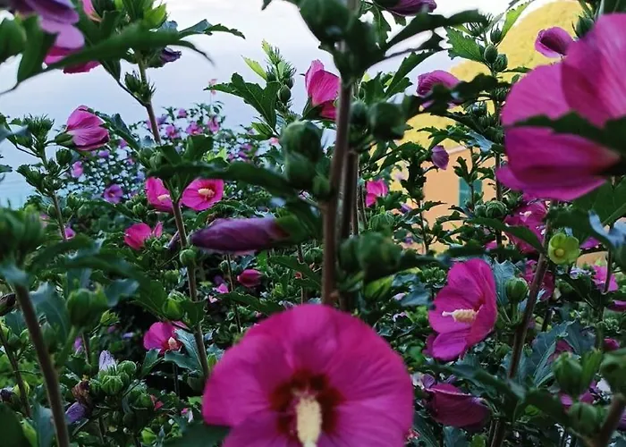 Hostel Ninin De Ma' Framura